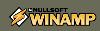be a pro--get winamp--free